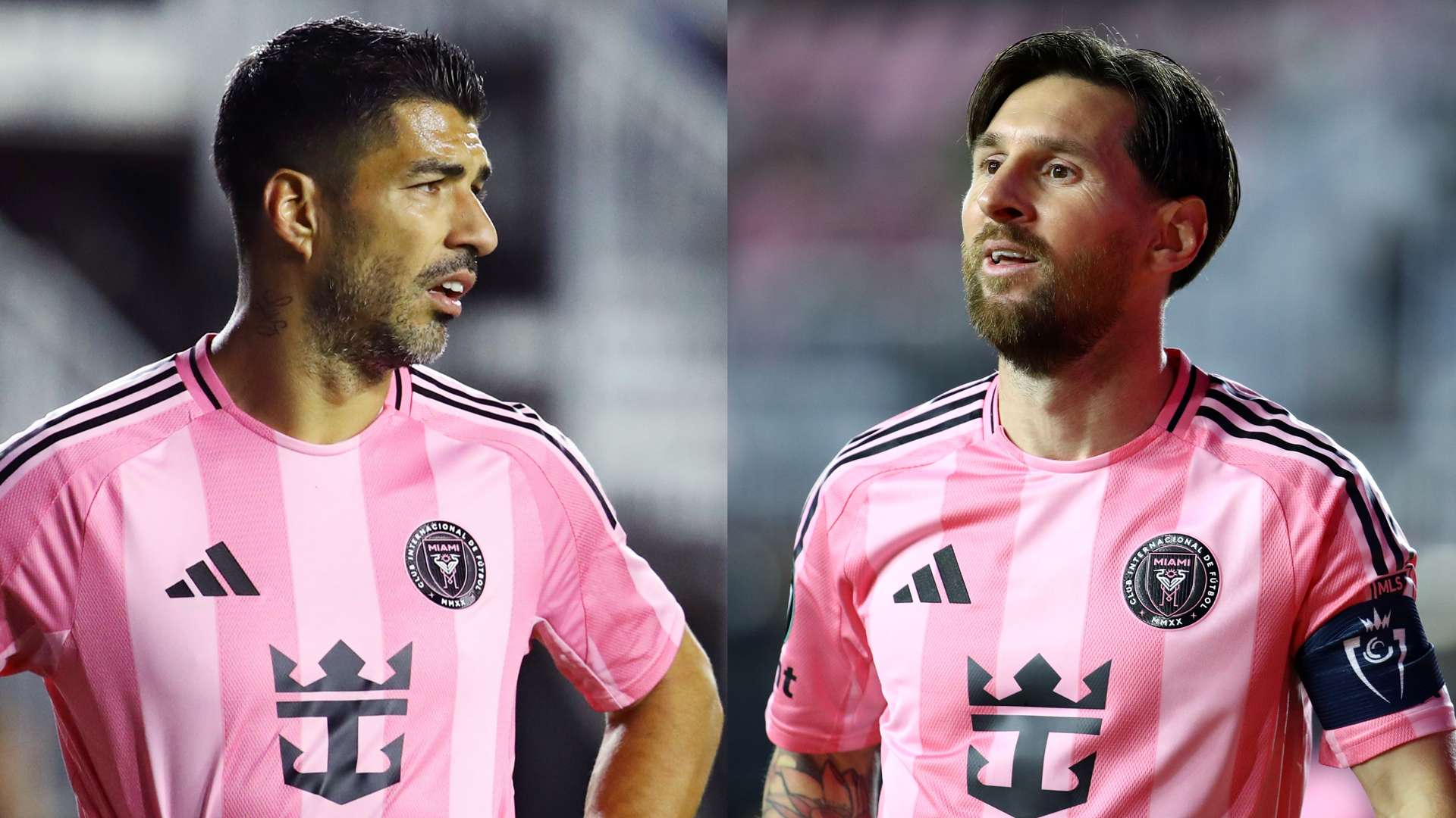 在广州队实 在广州队实