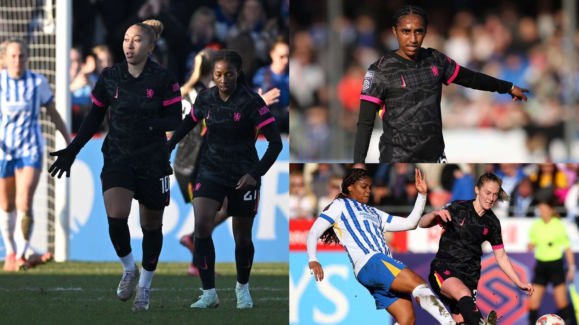 与众不同的 与众不同的